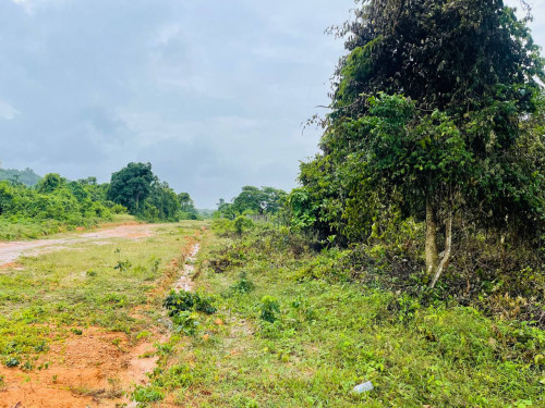 ដីជួលកែប 1439ម2 250$ Terrain nu à Kep 1439m2 à louer pour 250$/mois. Land for rent only 250$/month