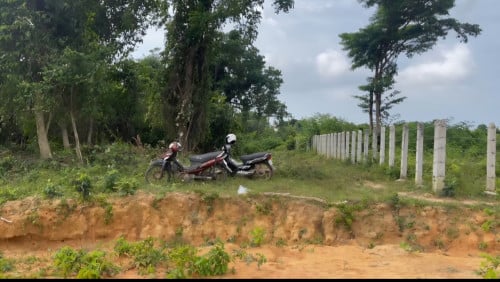 ដីជួលកែប 1439ម2 250$ Terrain nu à Kep 1439m2 à louer pour 250$/mois. Land for rent only 250$/month