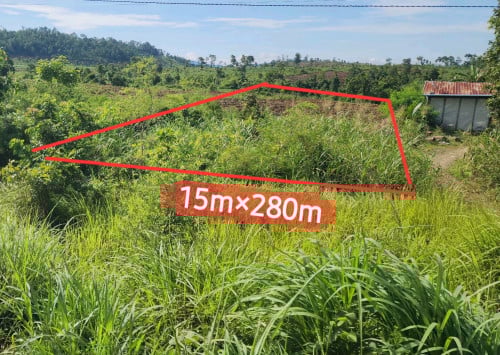 ដីលក់ ខេត្តពោធិសាត់ ជាប់ផ្លូវអន្ទង់អាំង