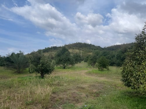 ដីលក់ក្បែររម្មណីយដ្ឋានប្រវត្តិសាស្រ្តភ្នំឈ្ងោក