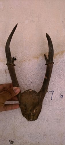 លក់