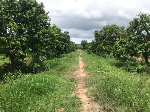 🏦 Land Available for Urgent Sale at a Special Price (Negotiable).