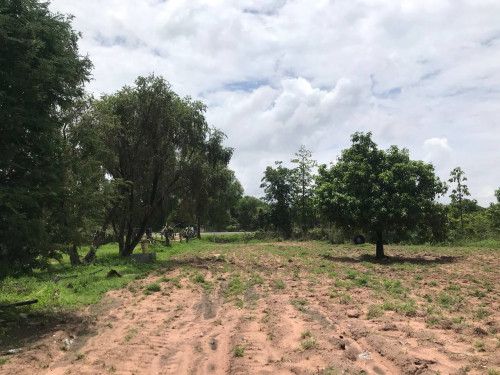 🏦 Land Available for Urgent Sale at a Special Price (Negotiable).