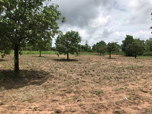 🏦 Land Available for Urgent Sale at a Special Price (Negotiable).