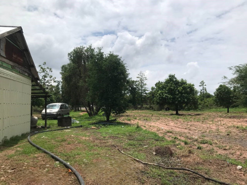 🏦 Land Available for Urgent Sale at a Special Price (Negotiable).