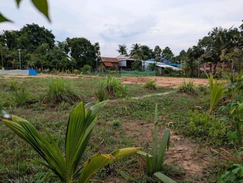 ដីលក់បន្ទាន់ (ស្រុកប្រាសាទបាគង ខេត្តសៀមរាប)