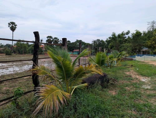 ដីលក់បន្ទាន់ (ស្រុកប្រាសាទបាគង ខេត្តសៀមរាប)