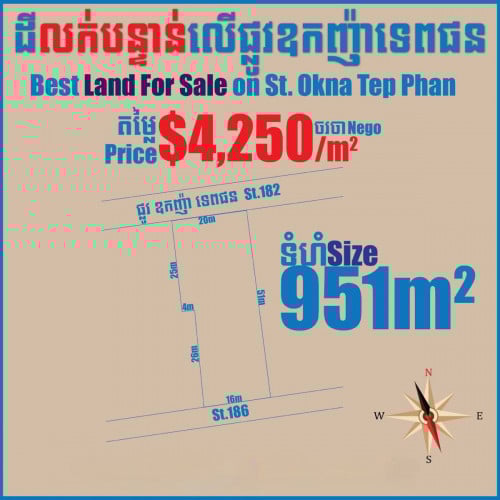 ដីលក់បន្ទាន់លើផ្លូវទេពផនមានផ្លូវមុខក្រោយ