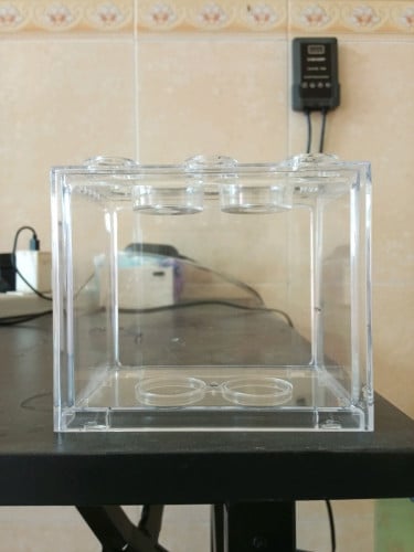 ទូត្រីខ្នាតតូចសម្រាប់ដាក់ត្រី Betta