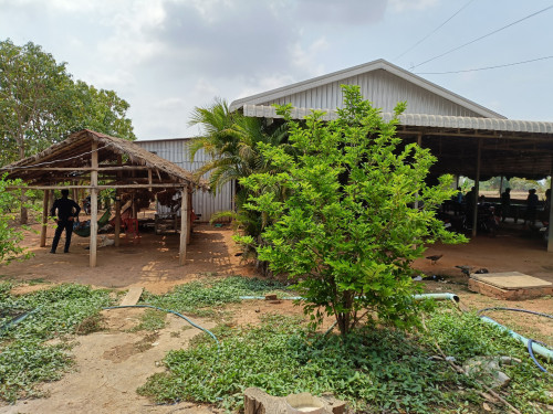 🏦Land for Urgent Sale (Negotiable), ABA Loan Available.