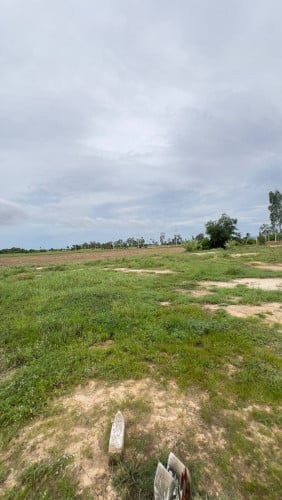 ដីលក់ នៅព្រៃទទឹង តម្លៃទាបជាងទីផ្សា