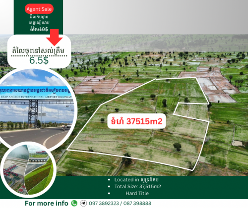 ដីលក់បន្ទាន់ (ជិតផ្លូវព្រលានយន្តហោះថ្មី)