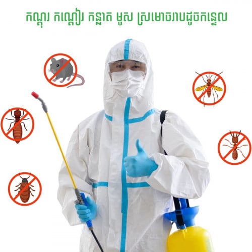 សេវាកម្មកម្ចាត់សត្វកណ្តៀរប្រកបដោយប្រសិទ្ធភាព ធានារយៈពេល5ឆ្នាំ