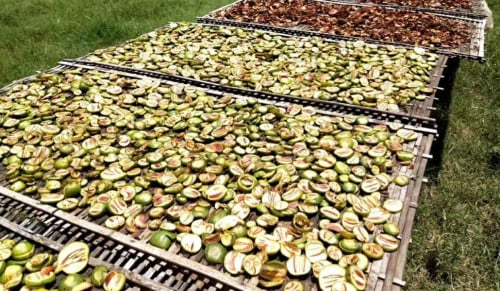 សណ្តាន់កៀម DriedGarcinia loureiroi ម្ហូប food គ្រឿងទេស