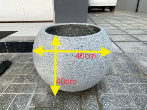 ពាងចិញ្ចឹមត្រីកម្ពុជា ត្រីអាចោរសៀមដាក់ងាប់ តំលៃប្រម៉ូសិន