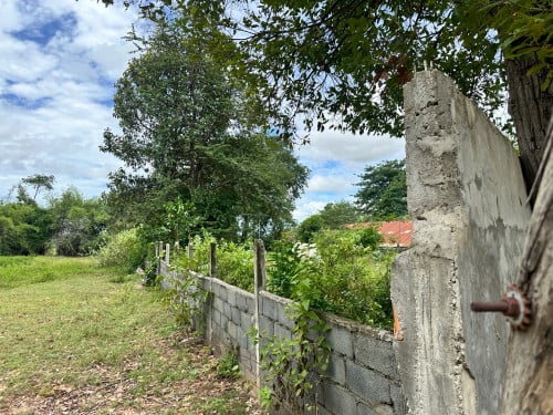 ដីលក់ ផ្លង់រឹង