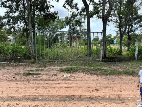 ដីលក់ ផ្លង់រឹង