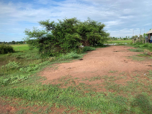 ដីលក់បន្ទាន់