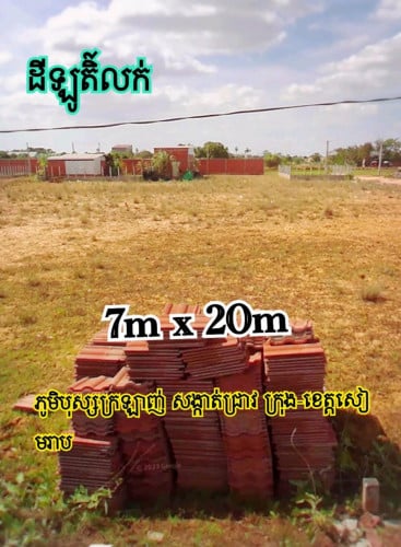 ដីឡូត៍លក់ បង្ហើយ