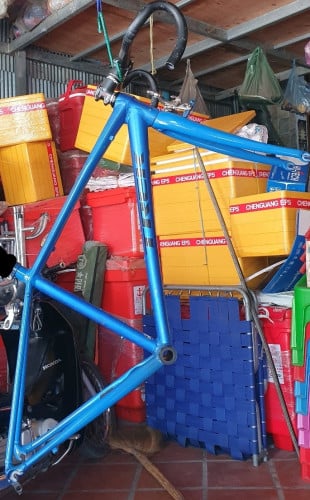 លក់តួរ Trek Domane AL2 ប្រញាប់លុយខ្លាំង