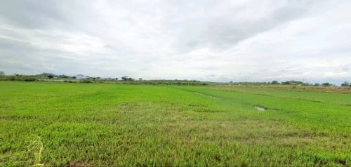 ដីស្រែលក់បន្ទាន់ ៖ ស្រុកស្អាងភ្នំ, ជិតអាកាសយានដ្ឋានអន្តរជាតិតេជោ