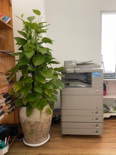 ជួល (សម្រាប់ជួលប្រចាំខែ)