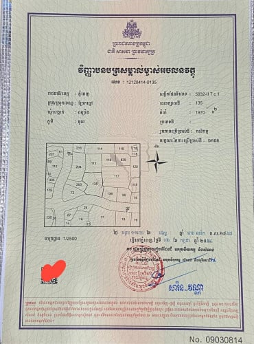 ដីលក់នៅភូមិទួល សង្កាត់ពន្សាំង ខណ្ឌព្រែកព្នៅ (បឹងកប់ស្រូវ) កំពុងធ្វើផ្លូវបេតុង