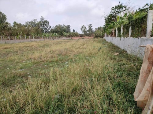 បច្បន្នផ្លូវកៅស៊ូ