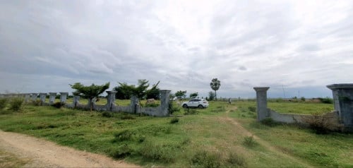 ដីលក់បន្ទាន់ ៖ ជិតព្រលានយន្តហោះថ្មី ទំហំ 11,106m2