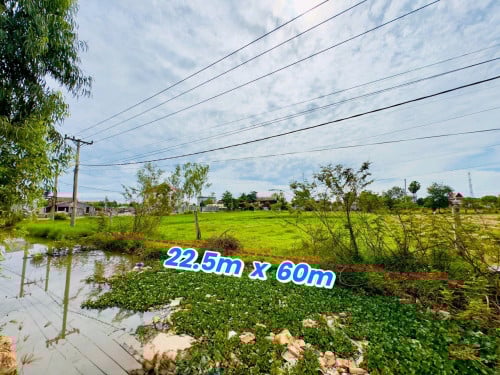 ដីលក់បន្ទាន់នៅលើផ្លូវ 22 ម៉ែត្រនៅអង្គរអ៊ីរ៉ាឬផ្លូវផ្សារខ្នារ