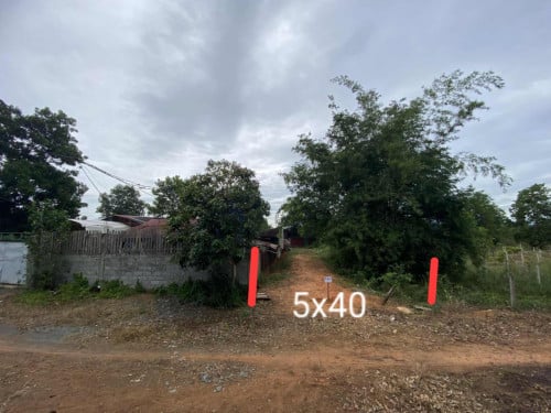 ដីលក់នៅជិតផ្សា317 ពិជ្រនិល កំពត ទទឹង 5m បណ្តោយ40m