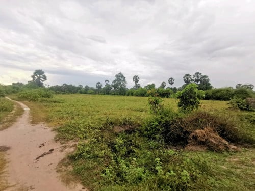 ដីកាច់ជ្រុង ផ្លូវលំ ភ្នំតាម៉ៅ