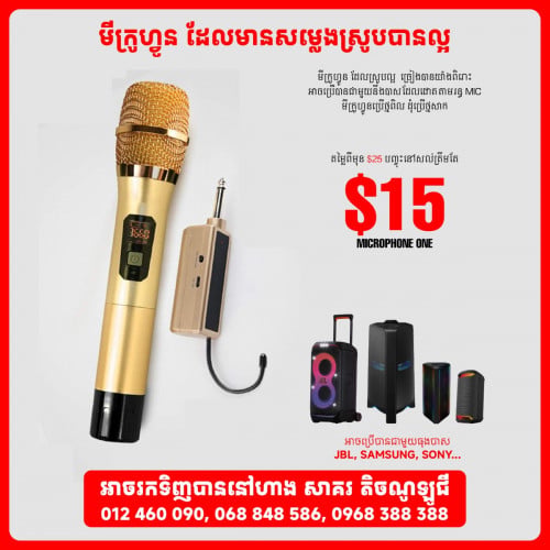 មីក្រូហ្ទូនផ្លៃដែក
