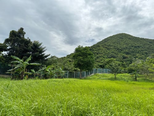 ដីលក់ នៅខេត្តកែប នៅជិត Kep Garden