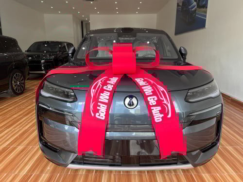 DENZA N9 Flagship🔥Warranty 6 years！Best Price！