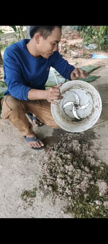 ម៉ាស៊ីនហាន់បន្លែ