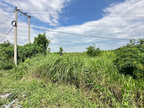 ដីលក់បន្ទាន់-ជាប់នឹងផ្លូវកៅស៊ូ ឃុំកោះរះ ស្រុកល្វាឯម