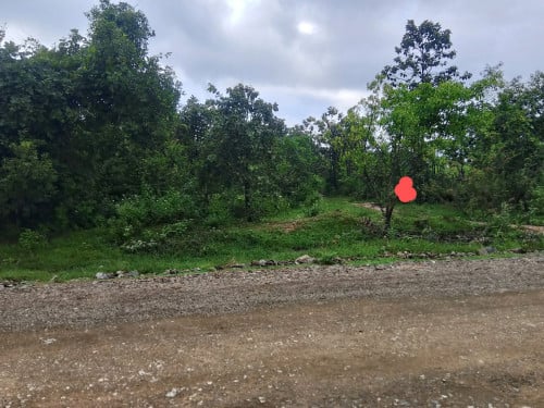 លក់បន្ទាន់លុយ4500$ចរចា