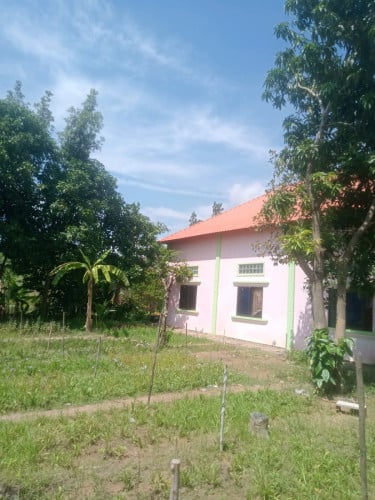 ចង់លក់ផ្ទះក្នុងក្រុងសៀមរាប