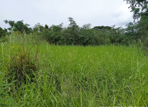 🏦Land Available for Urgent Sale at a Special Price (Negotiable).