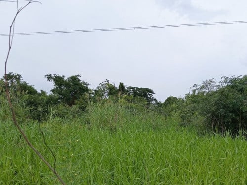 ๐ฆLand Available for Urgent Sale at a Special Price (Negotiable).