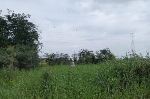 ๐ฆLand Available for Urgent Sale at a Special Price (Negotiable).