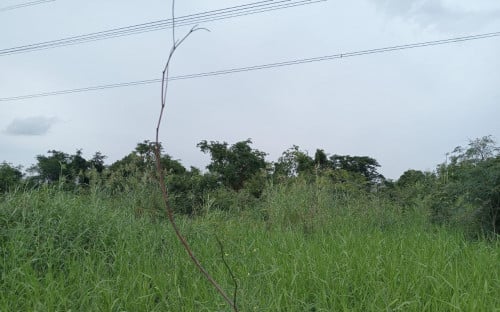 ๐ฆLand Available for Urgent Sale at a Special Price (Negotiable).