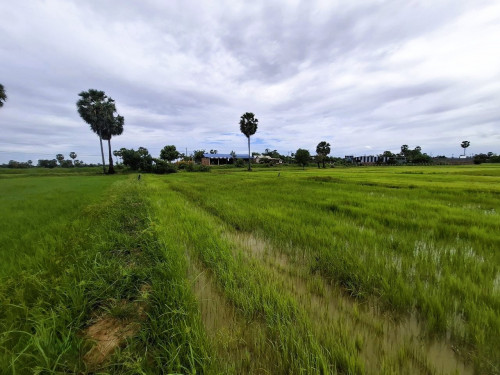 ๐ฆLand Available for Urgent Sale at a Special Price (Negotiable).