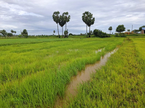 ๐ฆLand Available for Urgent Sale at a Special Price (Negotiable).
