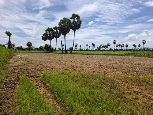 ๐ฆLand Available for Urgent Sale at a Special Price (Negotiable).