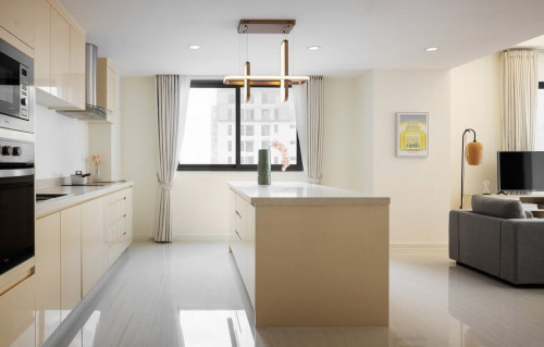 FANCY PENTHOUSE FOR RENT-HEART OF TK๐
