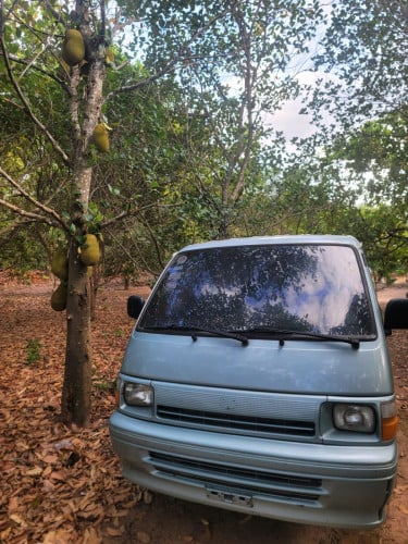 Hice 1996 15កៅអី