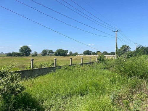 ដីលក់ (ផ្លូវកប់ស្រូវ)សង្កាត់គោករកា ខណ្ឌព្រែកព្នៅ