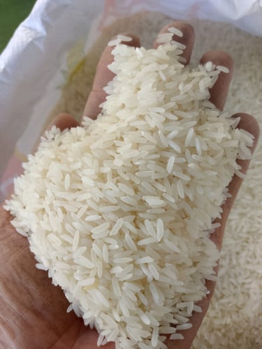 លក់អង្ករគ្រប់ប្រភេទ